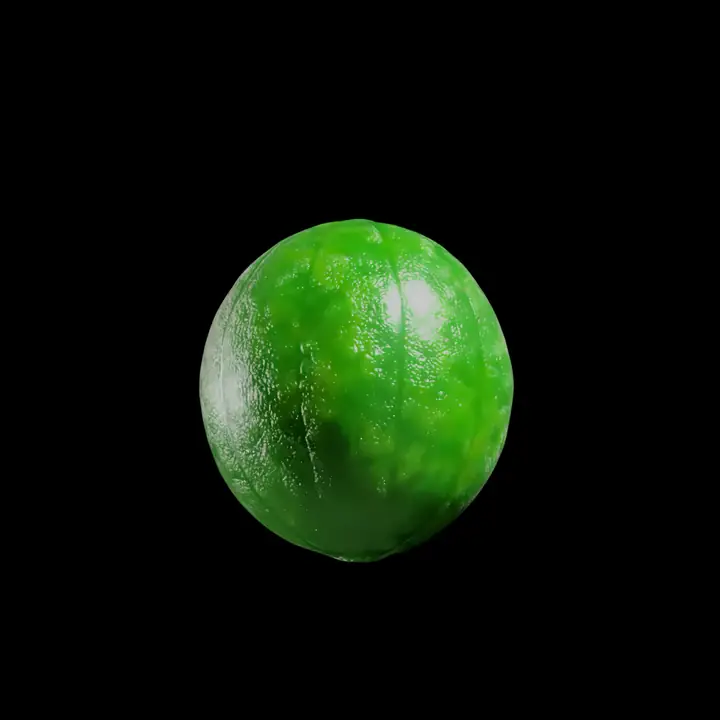 Monkfruit (Siraitia grosvenorii)